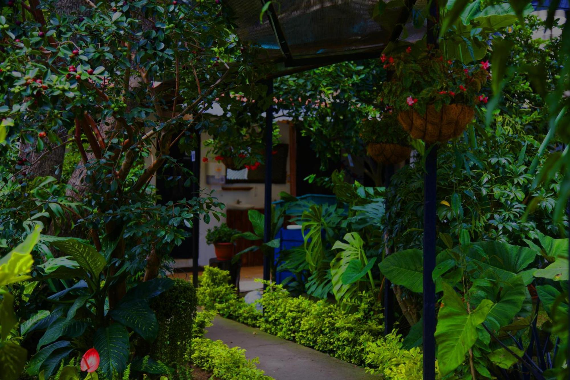 Hostal Antigueeno Antigua Екстер'єр фото